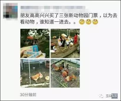 没眼看!广西这家动物园要逆天 画风清奇笑哭网友