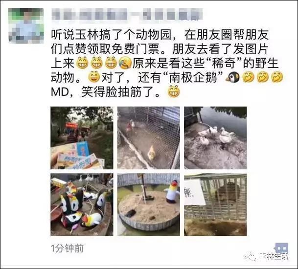 没眼看!广西这家动物园要逆天 画风清奇笑哭网友
