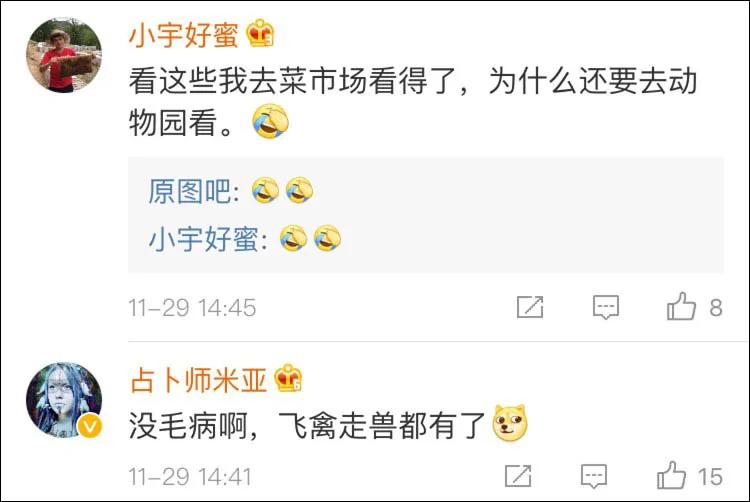 没眼看!广西这家动物园要逆天 画风清奇笑哭网友