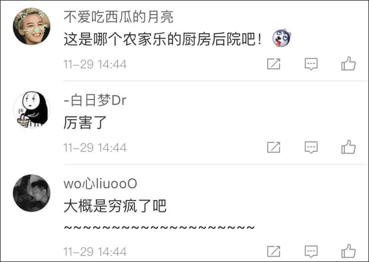没眼看!广西这家动物园要逆天 画风清奇笑哭网友