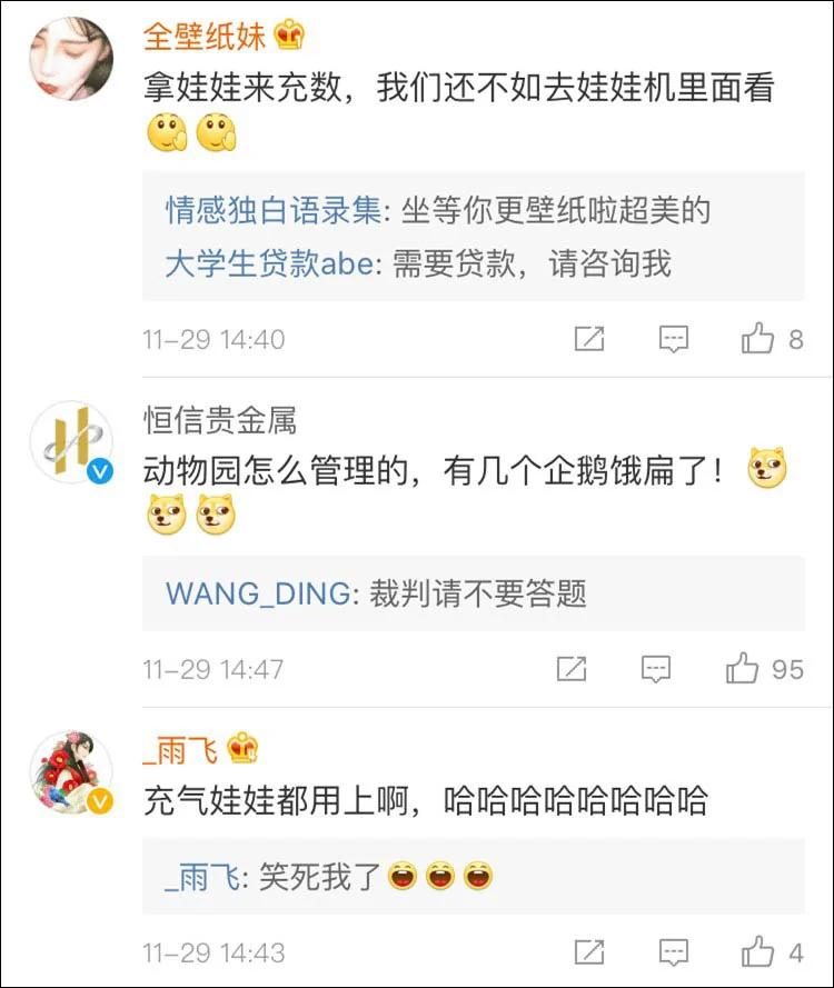 没眼看!广西这家动物园要逆天 画风清奇笑哭网友