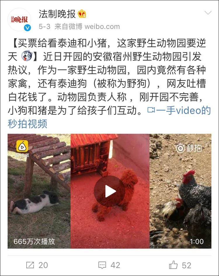没眼看!广西这家动物园要逆天 画风清奇笑哭网友