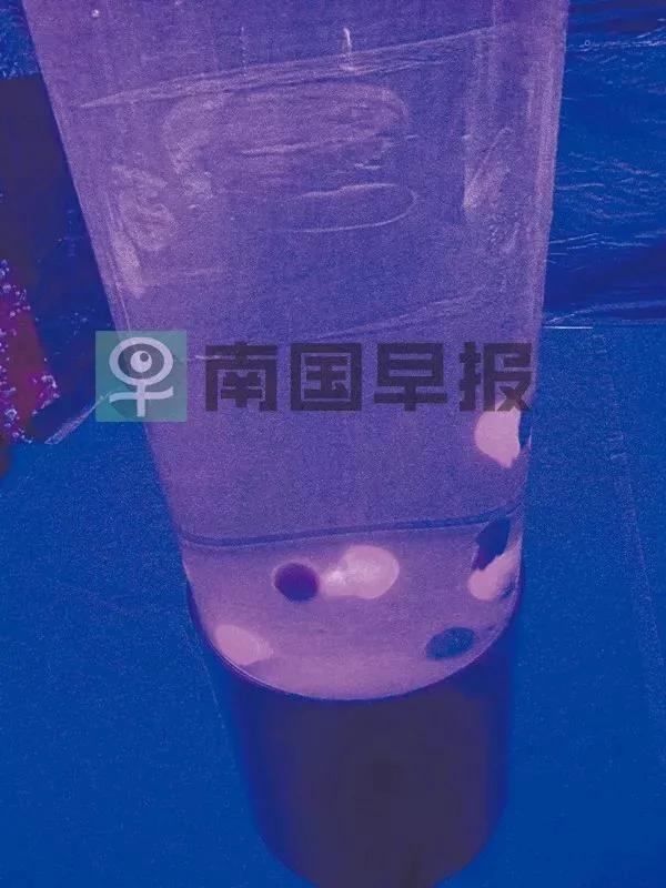没眼看!广西这家动物园要逆天 画风清奇笑哭网友