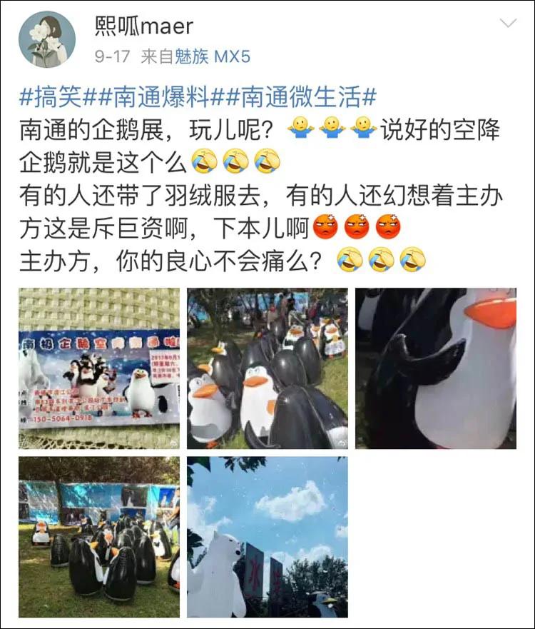 没眼看!广西这家动物园要逆天 画风清奇笑哭网友