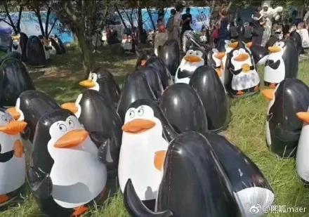 没眼看!广西这家动物园要逆天 画风清奇笑哭网友