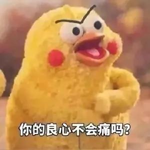 没眼看!广西这家动物园要逆天 画风清奇笑哭网友