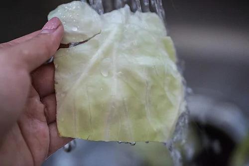 高丽菜究竟要怎么洗才干净?怎么切才细呢?