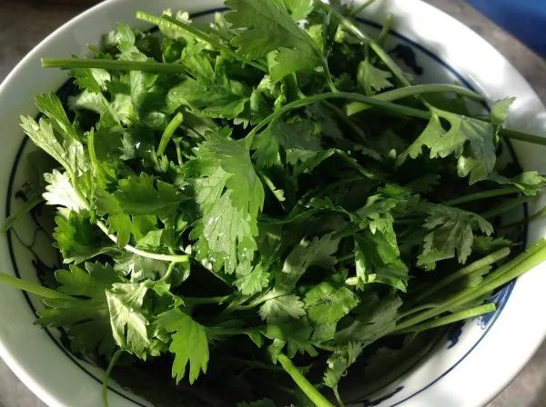隐藏在厨房的"治病药"!小病小痛再也不用跑医院了呢~