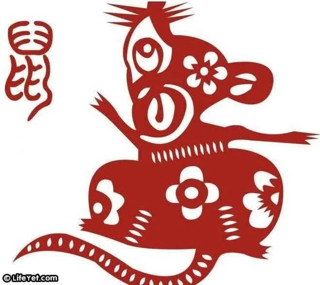 天生贤惠又能够旺夫的五大生肖女