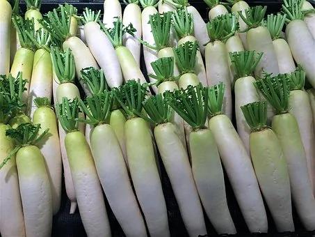 冬季养生食物「状元榜」!这些「第一」食补 吃到就是赚到!