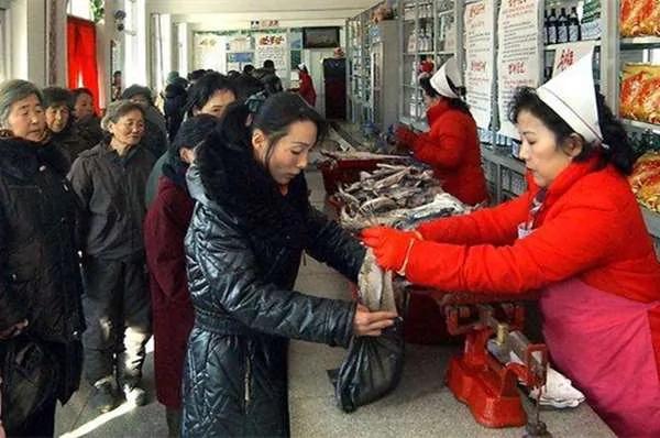 脱北者看南韩饲主“替狗穿衣”超傻眼 北韩人养狗不超过5年!