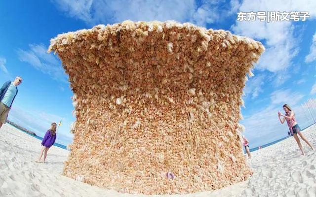 女子在海滩发现一堵墙 走近看吓得一个踉跄