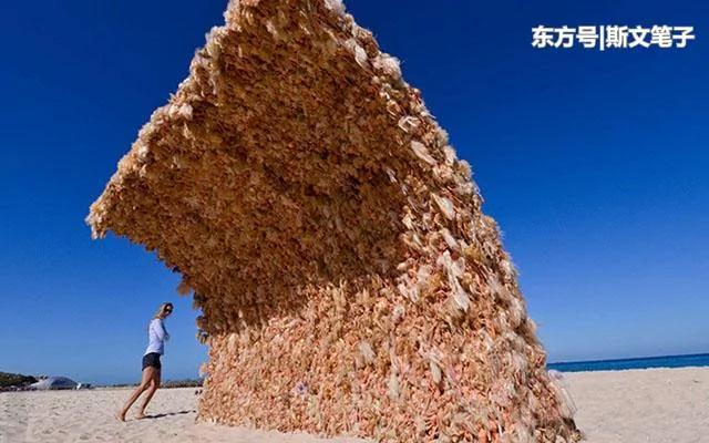 女子在海滩发现一堵墙 走近看吓得一个踉跄