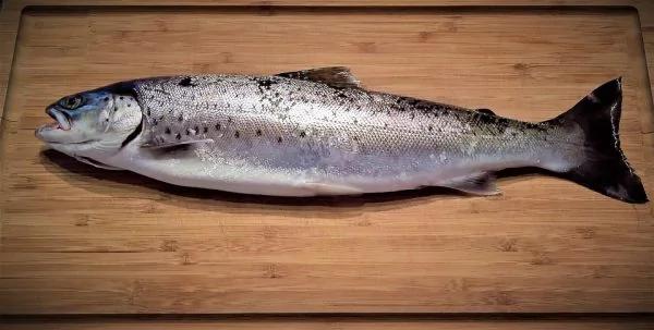 清淡饮食也可以很丰富!