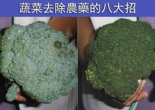 蔬菜去除农药的八大招
