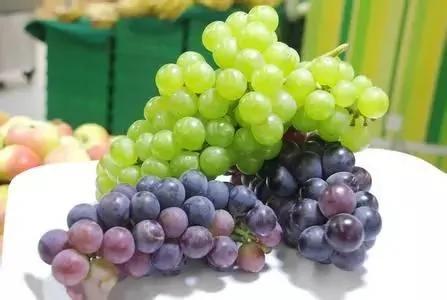 学会这一招 葱蒜姜放半年都不会坏 简单实用保存法 学起来
