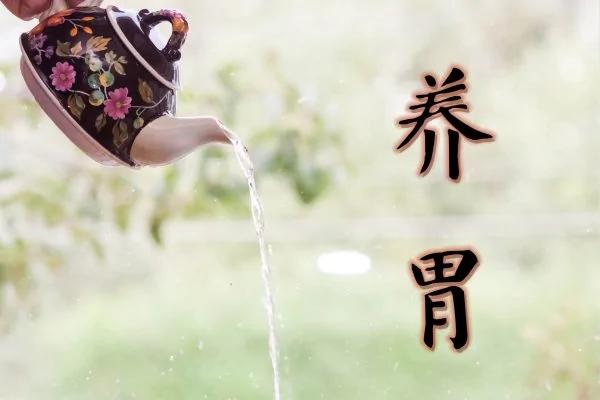 消化科医生都在用的10条养胃秘诀 刚照做3天胃就舒服了