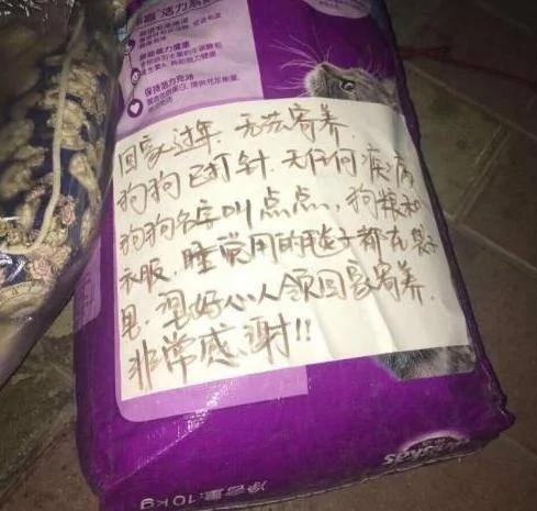 半夜等在马路中央的狗狗 看了身后的袋子 愤怒了!