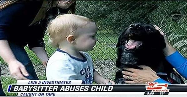 主人发现爱犬对保母异常凶狠 用手机录音 结果发现真相!