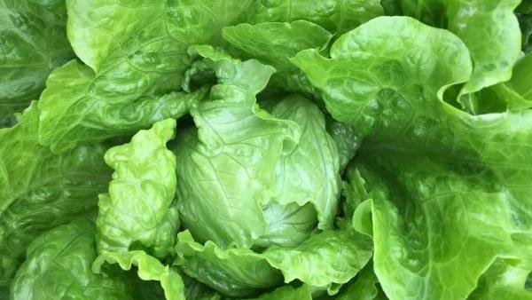 原来骨头汤、豆浆、海带都不能补钙!你知道最补钙的食物有哪些?