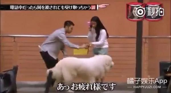 接电话的时候 无论给什么都会拿