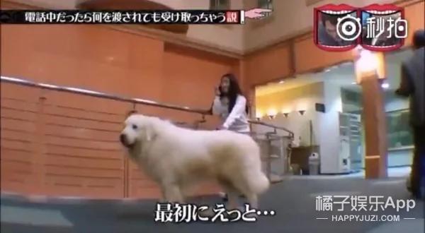 接电话的时候 无论给什么都会拿