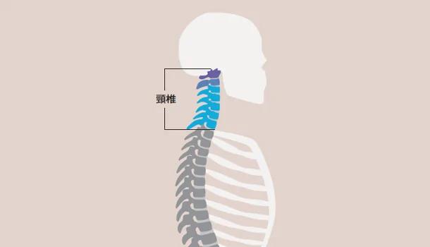 抗寒!四个医师的“暖颈”秘诀