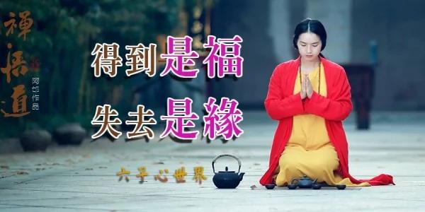 得到是福 失去是缘