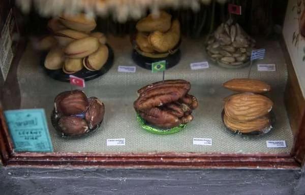 瑞典街头出现“精致小店铺” 原来客人是“老鼠”