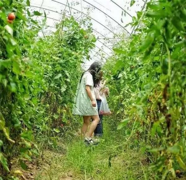 19岁女孩返回乡下爆改农村平房 实现了人们一辈子最期待的生活!