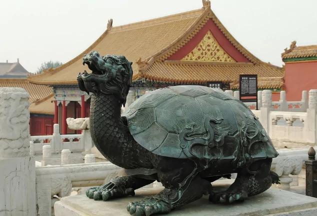 活了一万年的神龟因怕光两千年才伸一次头