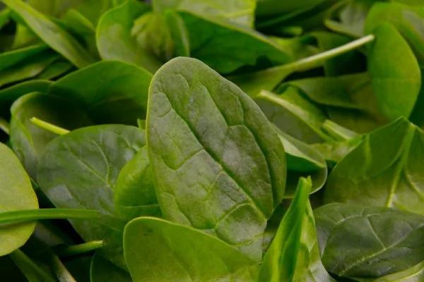 眼睛干涩、肿痛、视力下降?吃对食物有助缓解眼疲劳