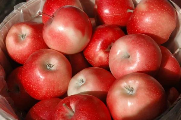 眼睛干涩、肿痛、视力下降?吃对食物有助缓解眼疲劳
