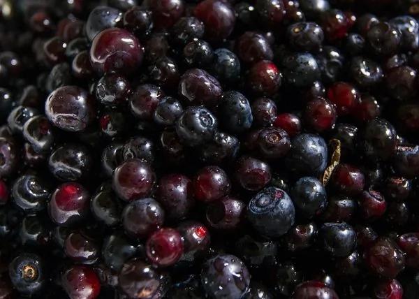 眼睛干涩、肿痛、视力下降?吃对食物有助缓解眼疲劳