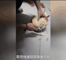 椰子从海南快递到长春之后竟变这样…