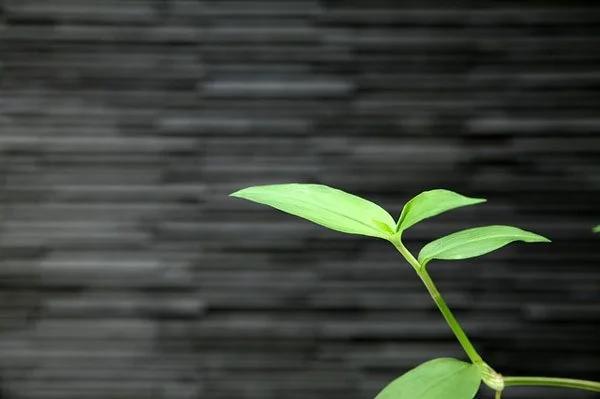 当成语遇见加减乘除 让人拍案叫绝!