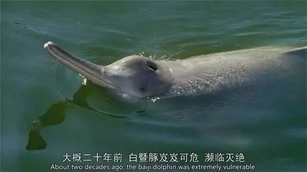 被埋藏15年的“憾世遗书” 看过的人都哭了!