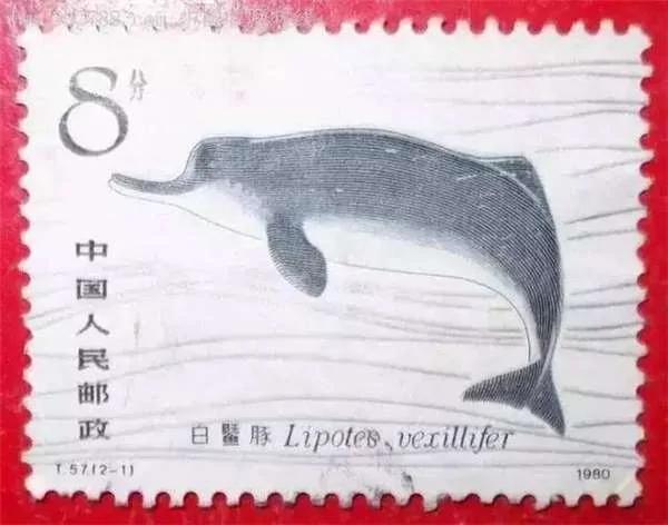 被埋藏15年的“憾世遗书” 看过的人都哭了!