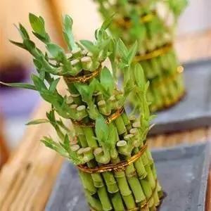 实用 冬天怕冷不开窗?啥时是最佳开窗时间?