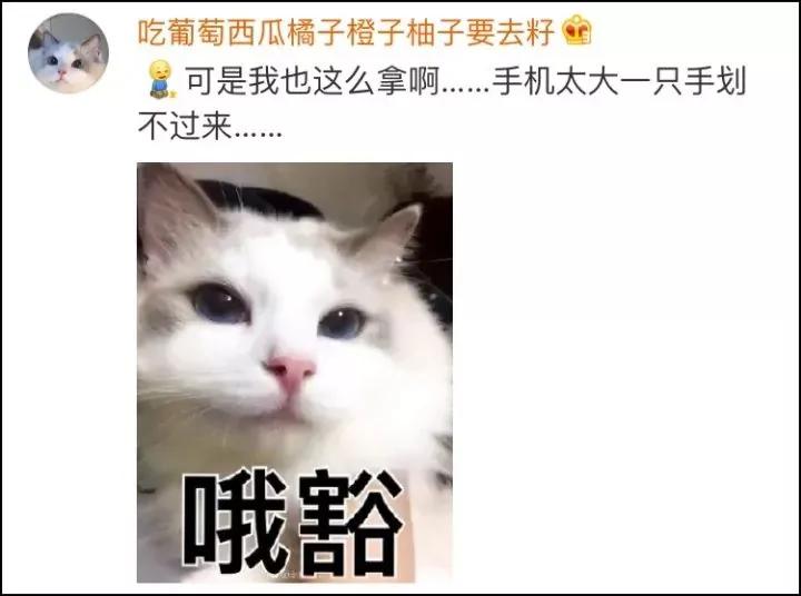 听说全世界的妈妈都用这种姿势拿手机?网友:没错!是我母亲本人了!