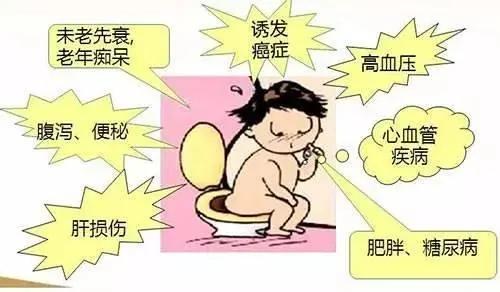 很多人年纪轻轻肠道老了 8种食物助肠道健康