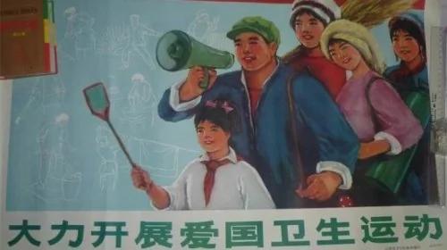 一场荒谬的“爱国卫生运动”