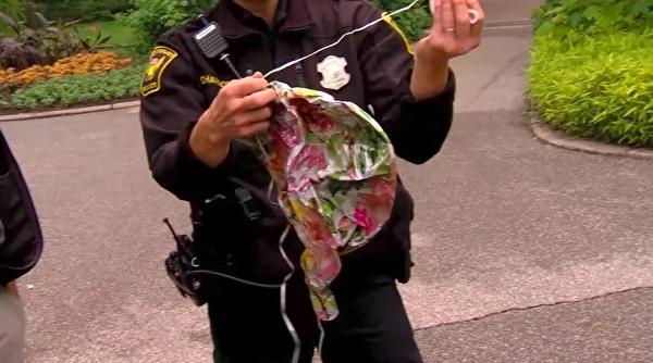 野雁不停啄巡逻车 警官跟随它到溪边大为惊愕!