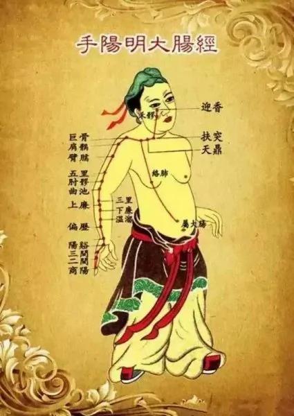 世上本无病 只是瘀和堵!