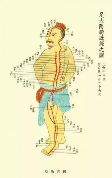 世上本无病 只是瘀和堵!