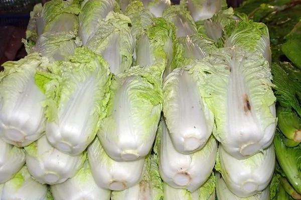 冬季干冷 5种食物、11道食谱缓解便秘