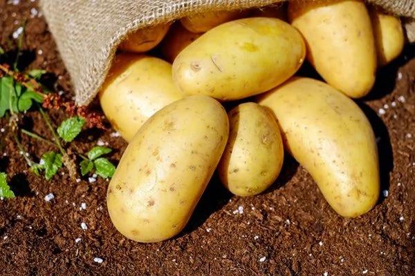 冬季干冷 5种食物、11道食谱缓解便秘