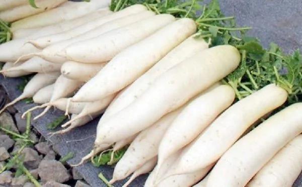 冬季干冷 5种食物、11道食谱缓解便秘