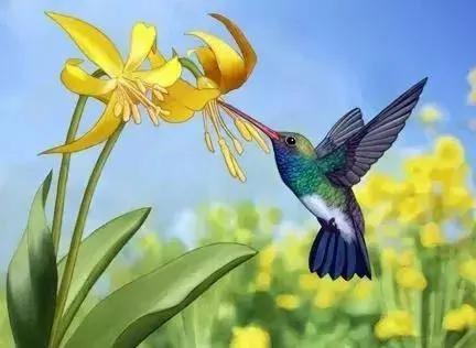 花、鸟、诗词间的碰撞 竟如此惊艳!