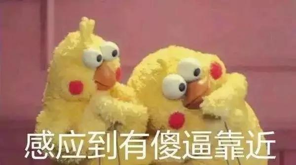 笑哭!2017年度五十大喜感新闻出炉